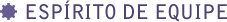 Espírito de equipe
